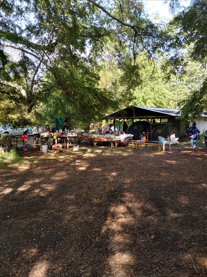 Fotografía 9 de Camping Quilches Riñinahue en Lago Ranco, Los Rios