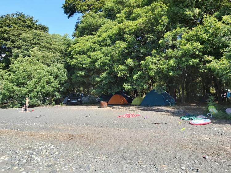 Fotografía 13 de Camping Quilches Riñinahue en Lago Ranco, Los Rios