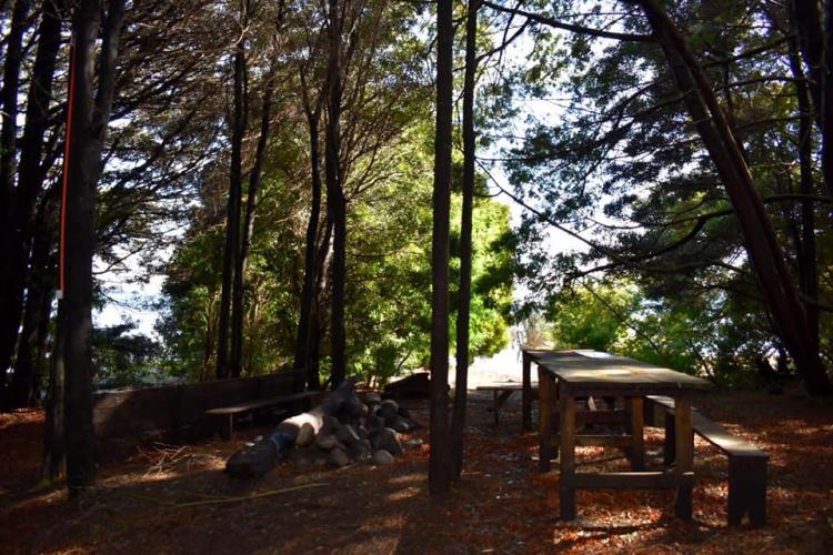 Fotografía 20 de Camping Quilches Riñinahue en Lago Ranco, Los Rios