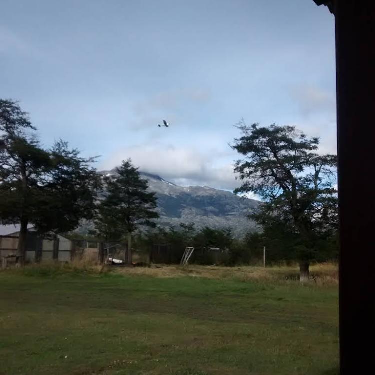 Fotografía 12 de Camping Los Ñires en Rio Ibañez, Aysen
