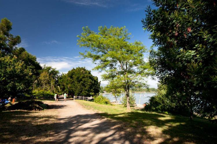 Fotografía 12 de Camping Bahia Coique en Futrono, Los Rios