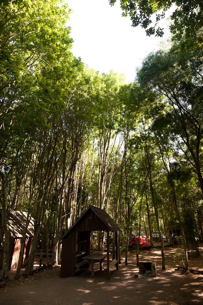 Fotografía 13 de Camping Bahia Coique en Futrono, Los Rios