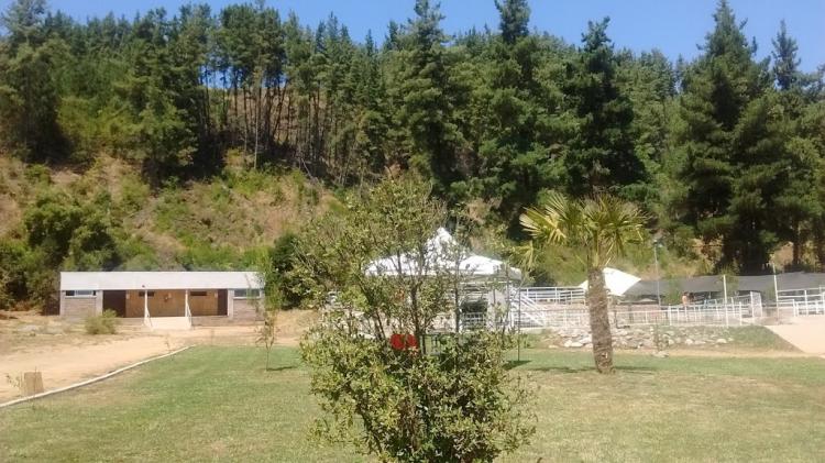 Fotografía 4 de Camping Manzanal en Curico, Maule