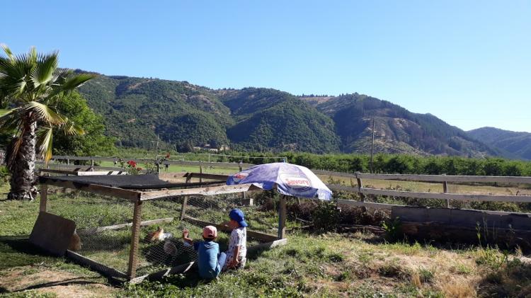 Fotografía 16 de Camping Manzanal en Curico, Maule