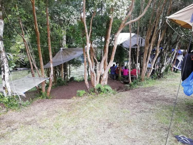 Fotografía 9 de Camping Molino De Agua en Hualaihue, Los Lagos