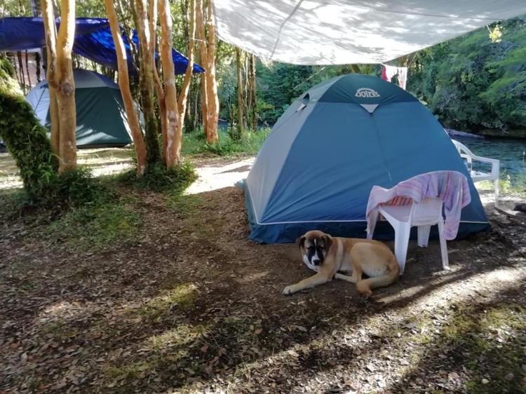 Fotografía 16 de Camping Molino De Agua en Hualaihue, Los Lagos