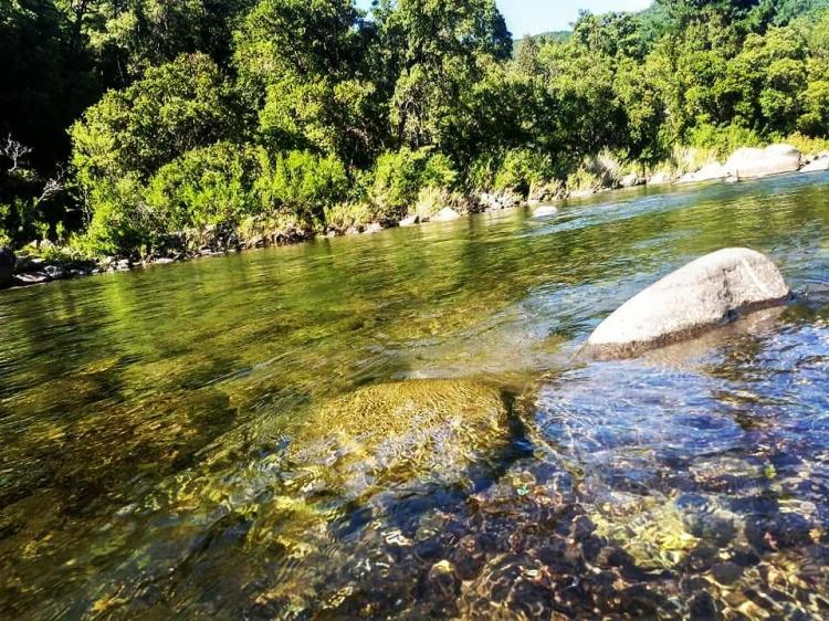 Fotografía 11 de Camping Nido de Condor en Yungay, Bio Bio