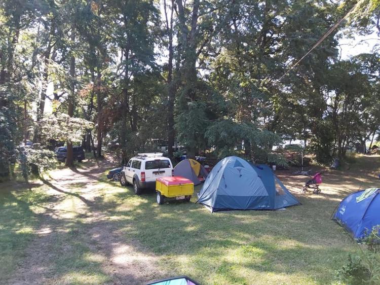 Fotografía 13 de Camping Quichel Riñinahue en Lago Ranco, Los Rios