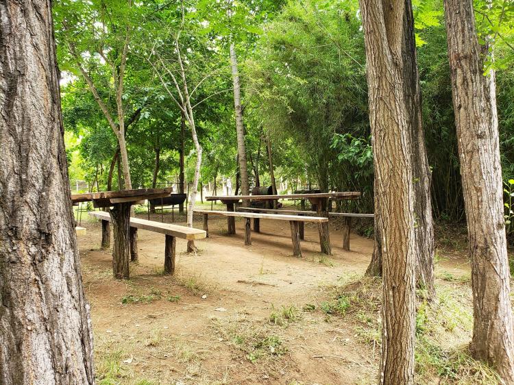 Fotografía 14 de Camping De Veraneo y Eventos Pincheira Millar en El Carmen, Bio Bio