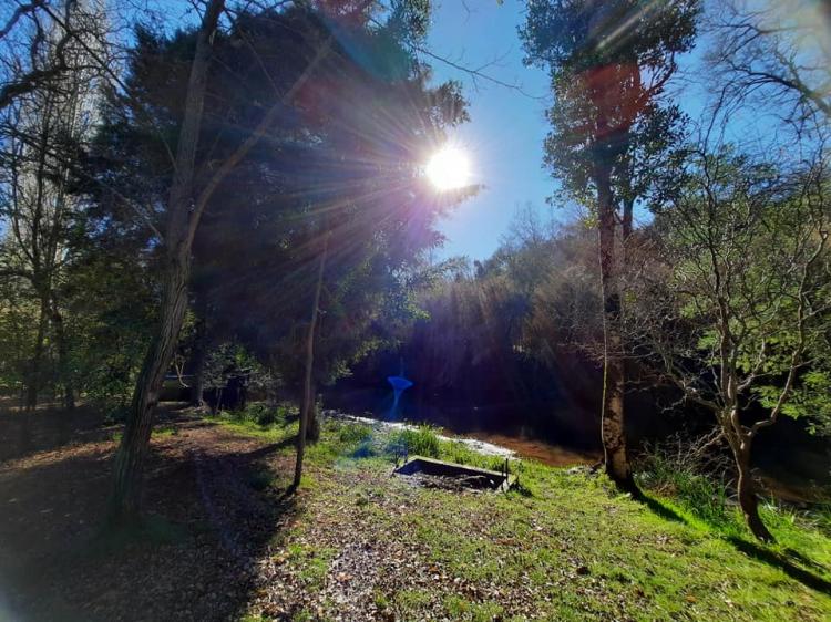 Fotografía 19 de Camping De Veraneo y Eventos Pincheira Millar en El Carmen, Bio Bio