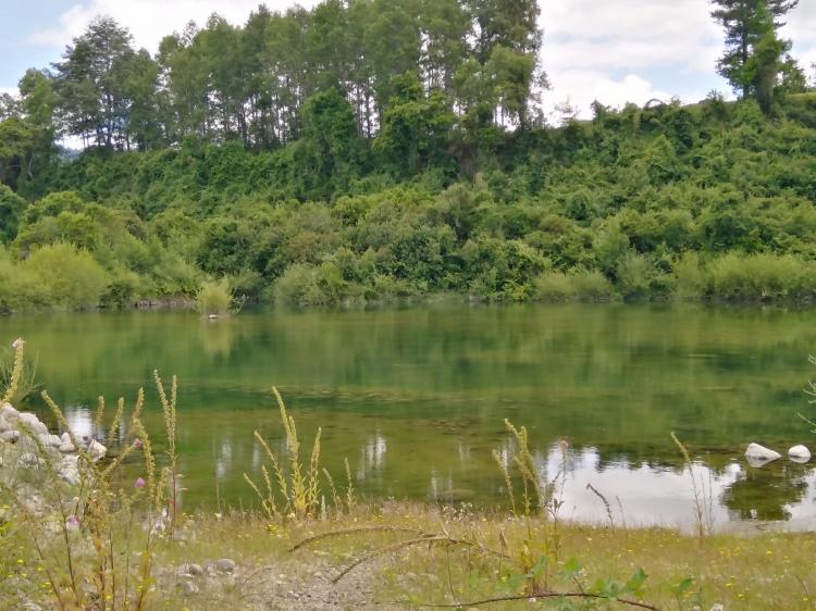 Fotografía 2 de Camping Pitrunco Don Pedro en Cunco, Araucania