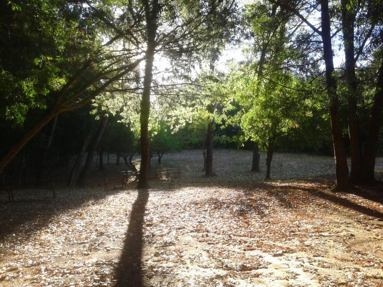 Fotografía 2 de Camping playa Los Queules en Concepcion, Bio Bio