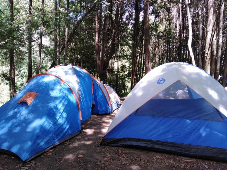 Fotografía 4 de Camping playa Los Queules en Concepcion, Bio Bio