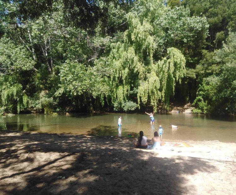 Fotografía 7 de Camping playa Los Queules en Concepcion, Bio Bio