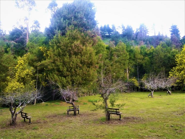 Fotografía 17 de Camping playa Los Queules en Concepcion, Bio Bio