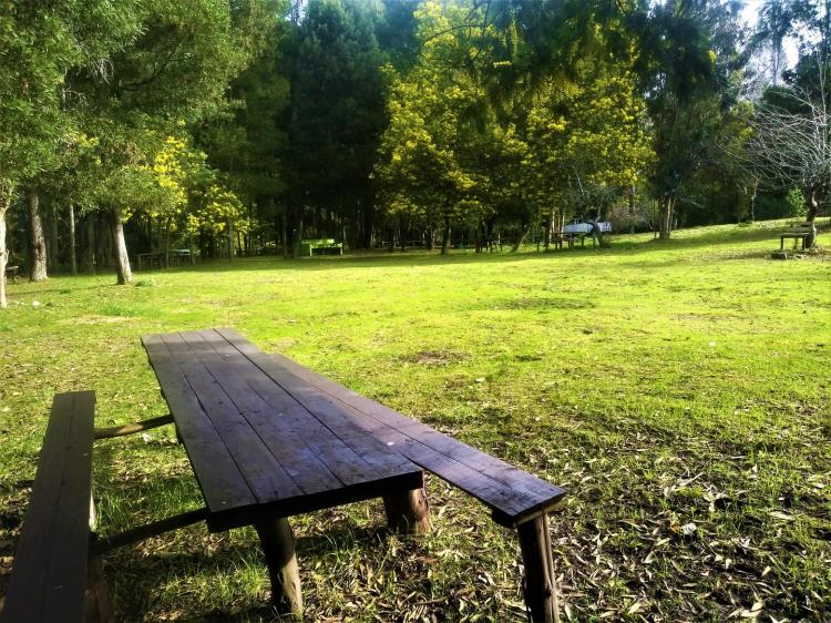 Fotografía 18 de Camping playa Los Queules en Concepcion, Bio Bio