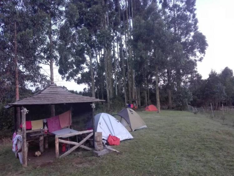 Fotografía 5 de Camping Rio Contao en Hualaihue, Los Lagos