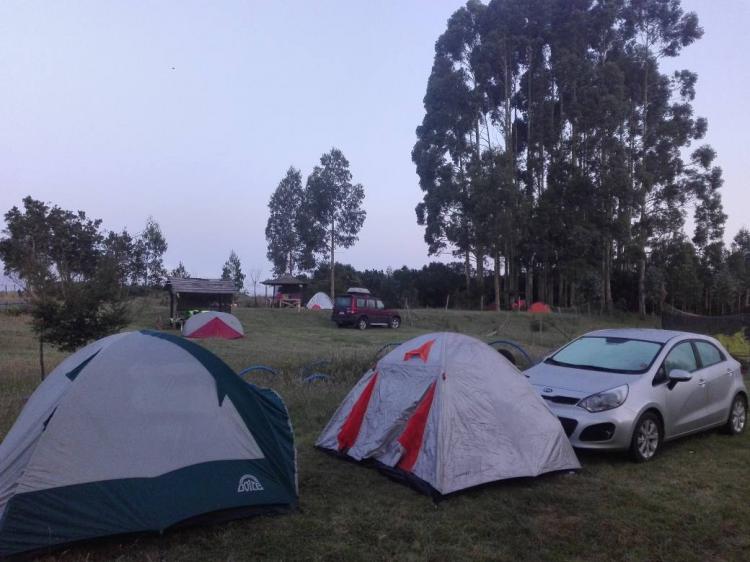 Fotografía 6 de Camping Rio Contao en Hualaihue, Los Lagos