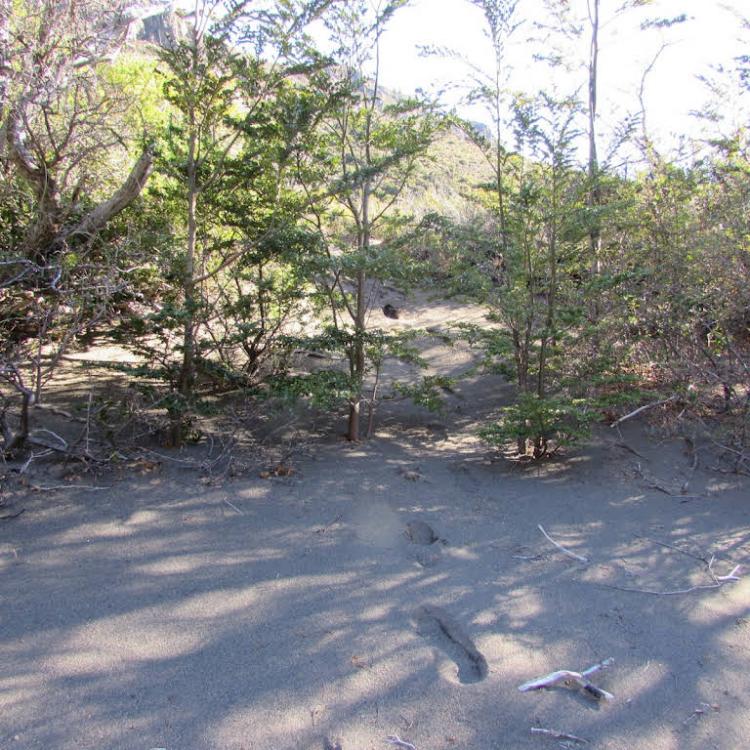 Fotografía 9 de Camping Sankaio en Rio Ibañez, Aysen
