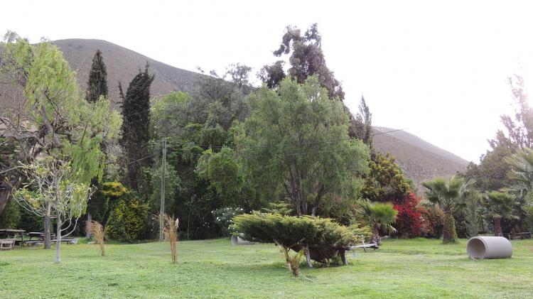 Fotografía 10 de Camping El Eden de Cabildo en Cabildo, Valparaiso