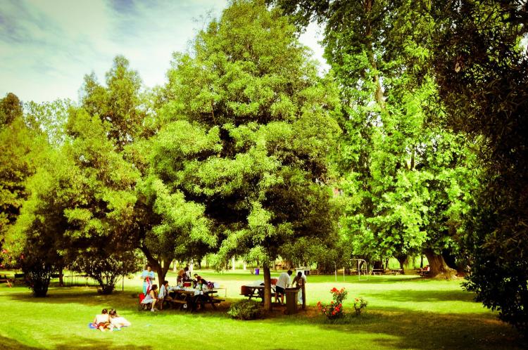 Fotografía 2 de Centro Turistico Parque Lemuhue en Isla De Maipo, Metropolitana