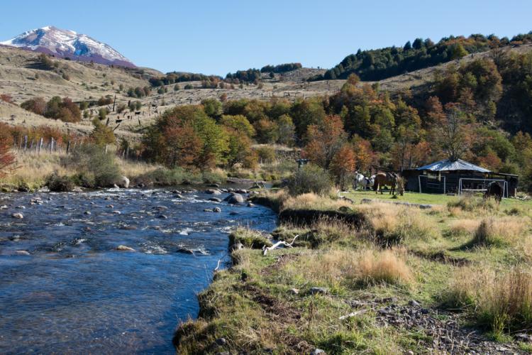 Fotografía 7 de Camping Tronador en Coyhaique, Aysen