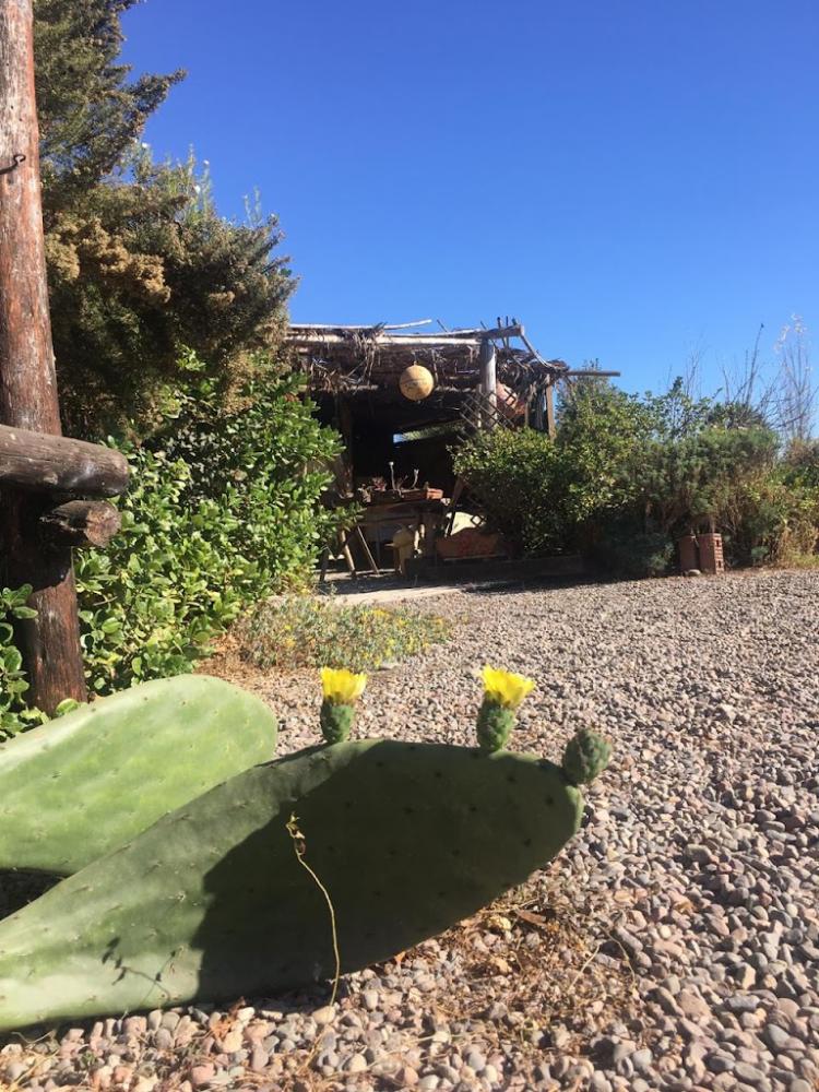 Fotografía 6 de Camping y Cabañas Entre trenes en La Serena, Coquimbo