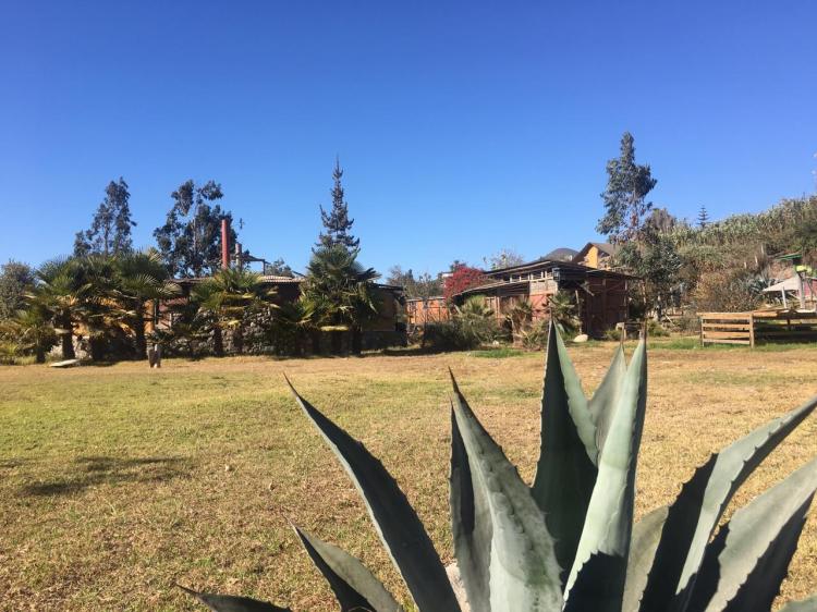 Fotografía 9 de Camping y Cabañas Entre trenes en La Serena, Coquimbo
