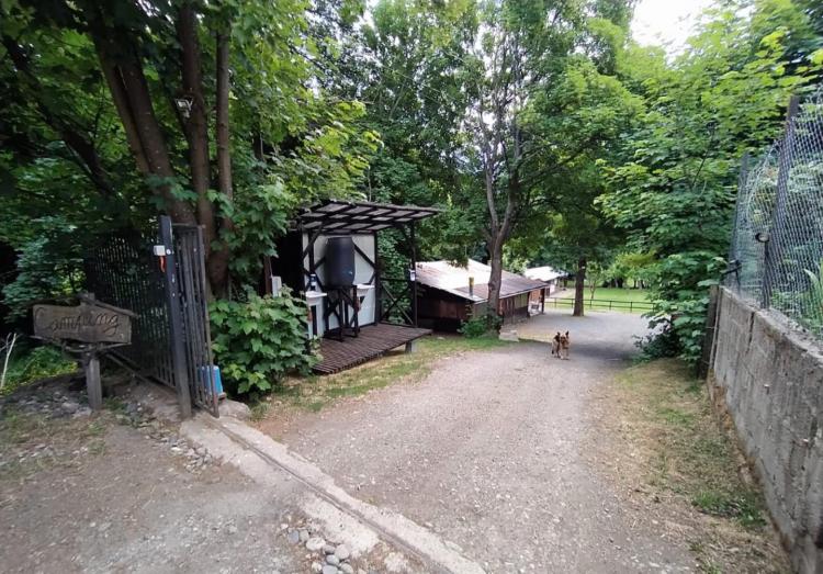 Fotografía 9 de El Camping Coyhaique en Coyhaique, Aysen