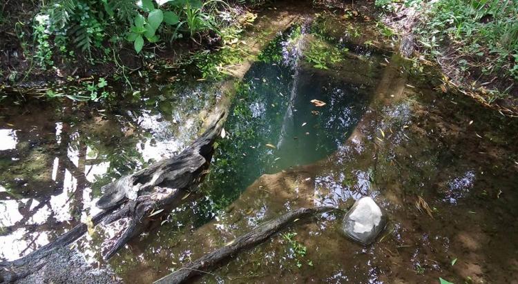 Fotografía 2 de Camping La Escondida Llifen en Futrono, Los Rios
