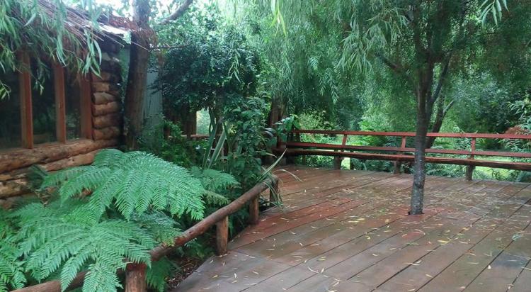 Fotografía 5 de Camping La Escondida Llifen en Futrono, Los Rios