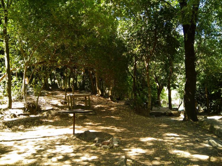 Fotografía 14 de Complejo Turistico Valshi Cabañas y Camping en Colbun, Maule