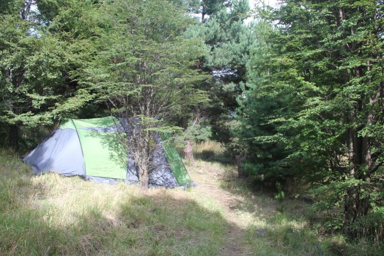 Fotografía 9 de Ecocamping Mingalegre en Coyhaique, Aysen