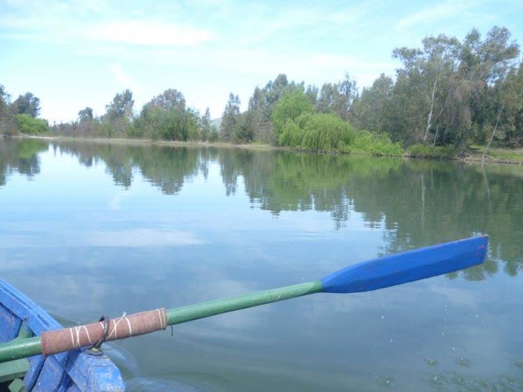 Fotografía 4 de Camping Quinta El Durazno en Maule, Maule