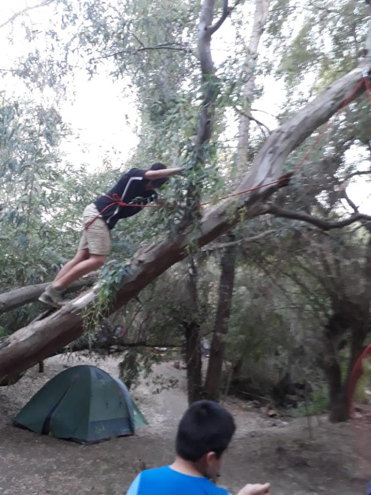 Fotografía 6 de Camping Quinta El Durazno en Maule, Maule