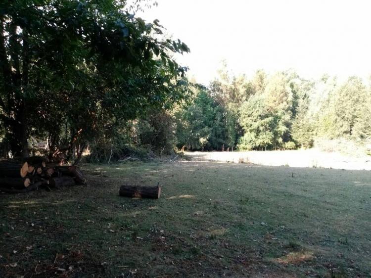Fotografía 11 de Camping Inaltuko en Villarrica, Araucania