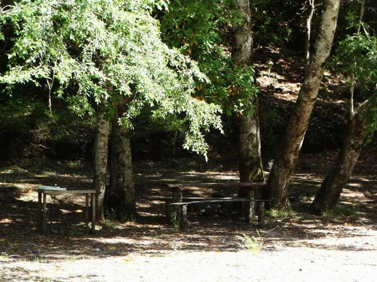 Fotografía 6 de Camping Vergara Playa Blanca Caburgua en Pucon, Araucania