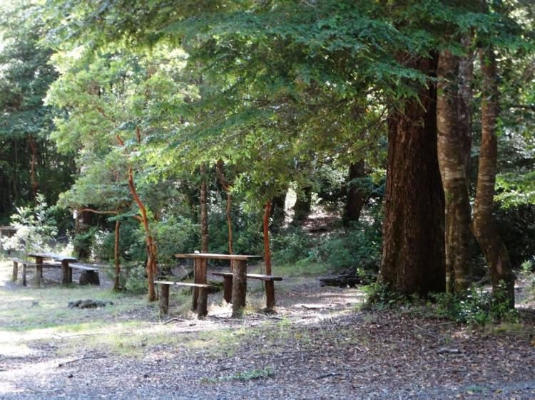 Fotografía 8 de Camping Vergara Playa Blanca Caburgua en Pucon, Araucania