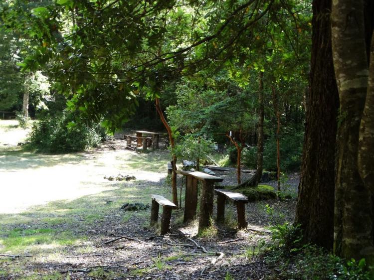 Fotografía 10 de Camping Vergara Playa Blanca Caburgua en Pucon, Araucania