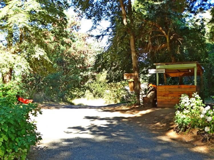Fotografía 13 de Camping Vergara Playa Blanca Caburgua en Pucon, Araucania