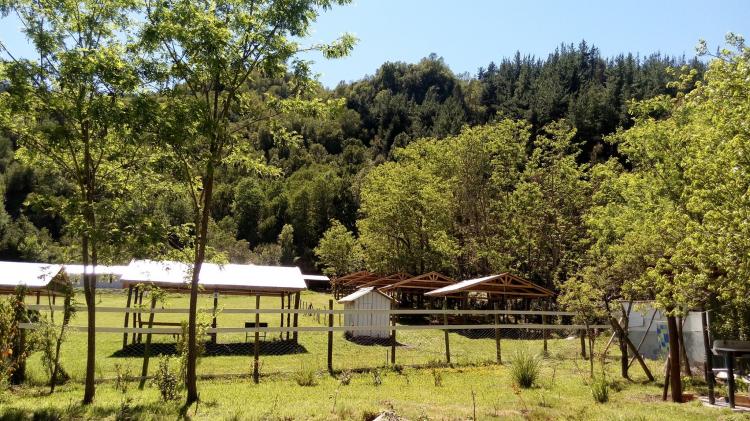 Fotografía 8 de Camping Los Tres Antonios en Linares, Maule