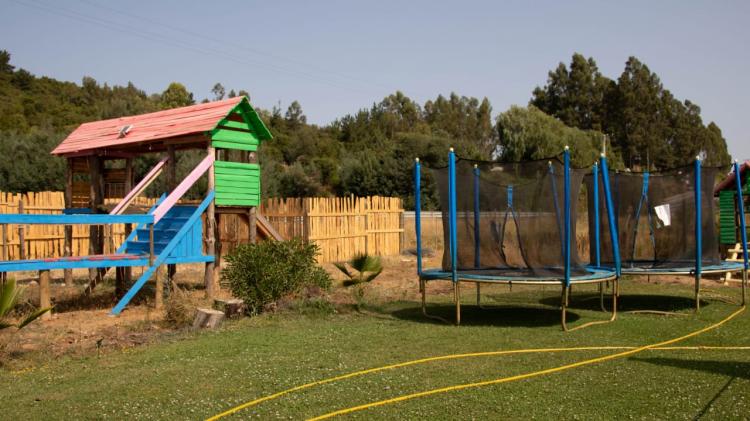 Fotografía 18 de Centro turístico y camping Los Aromos de Achibueno en Linares, Maule