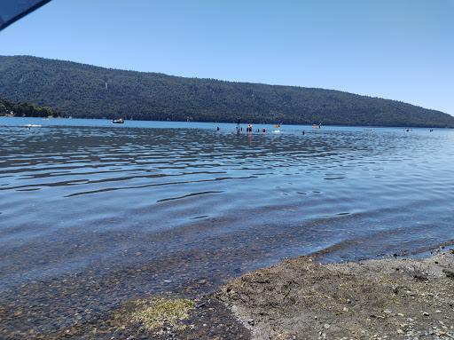 Fotografía 10 de Camping Costa Sur en Lonquimay, Araucania