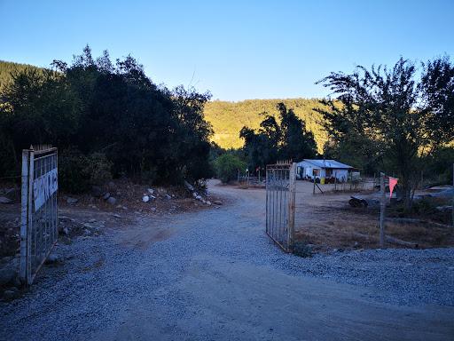 Fotografía 3 de Camping Achibueno Pejerrey en Linares, Maule