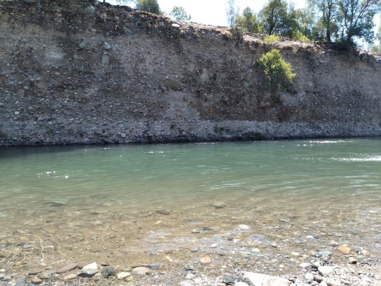 Fotografía 7 de Camping Achibueno Pejerrey en Linares, Maule