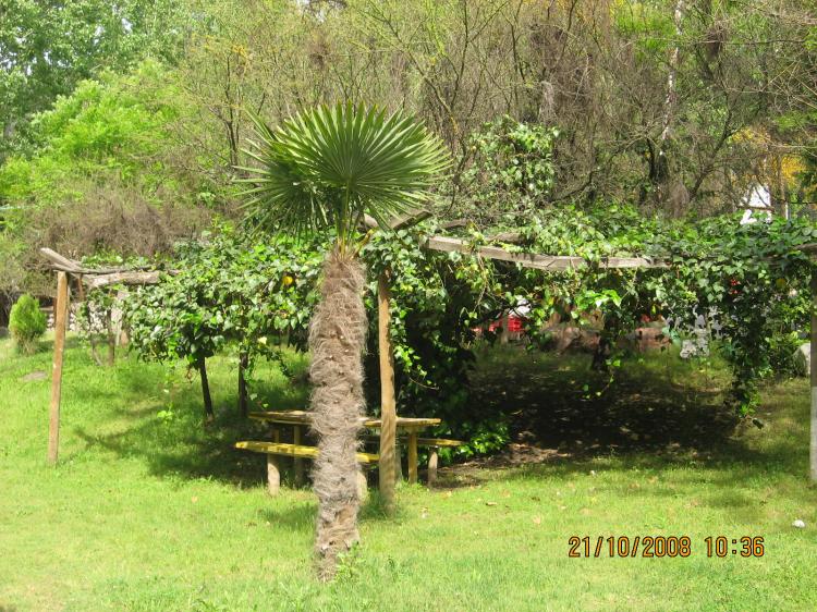Fotografía 5 de Lomas de San Vicente en Pirque, Metropolitana