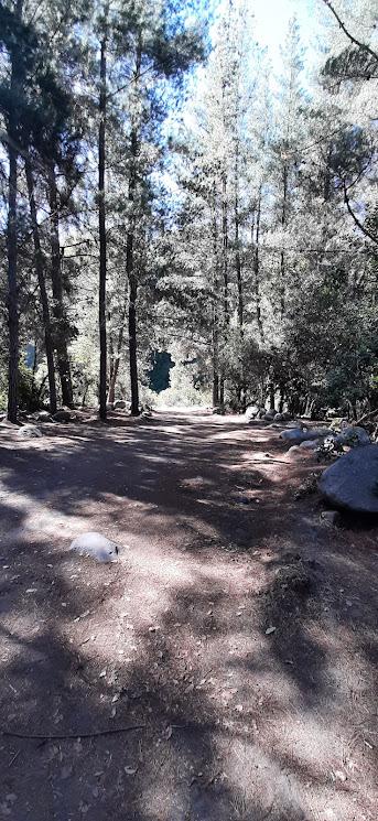 Fotografía 6 de Camping Tejeria en Retiro, Maule