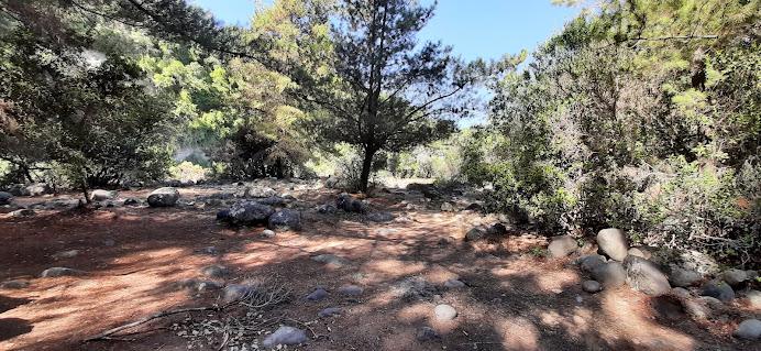 Fotografía 7 de Camping Tejeria en Retiro, Maule