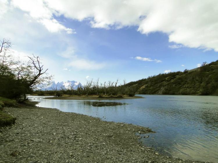Fotografía 9 de Camping Río Serrano, Torres Del Paine - Caja Los Andes en Punta Arenas, Magallanes