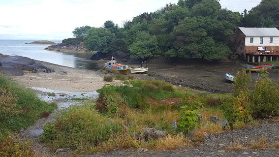 Fotografía 2 de Camping Las Pampitas en Puerto Montt, Los Lagos